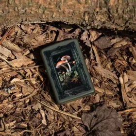 Framed Fungi Design